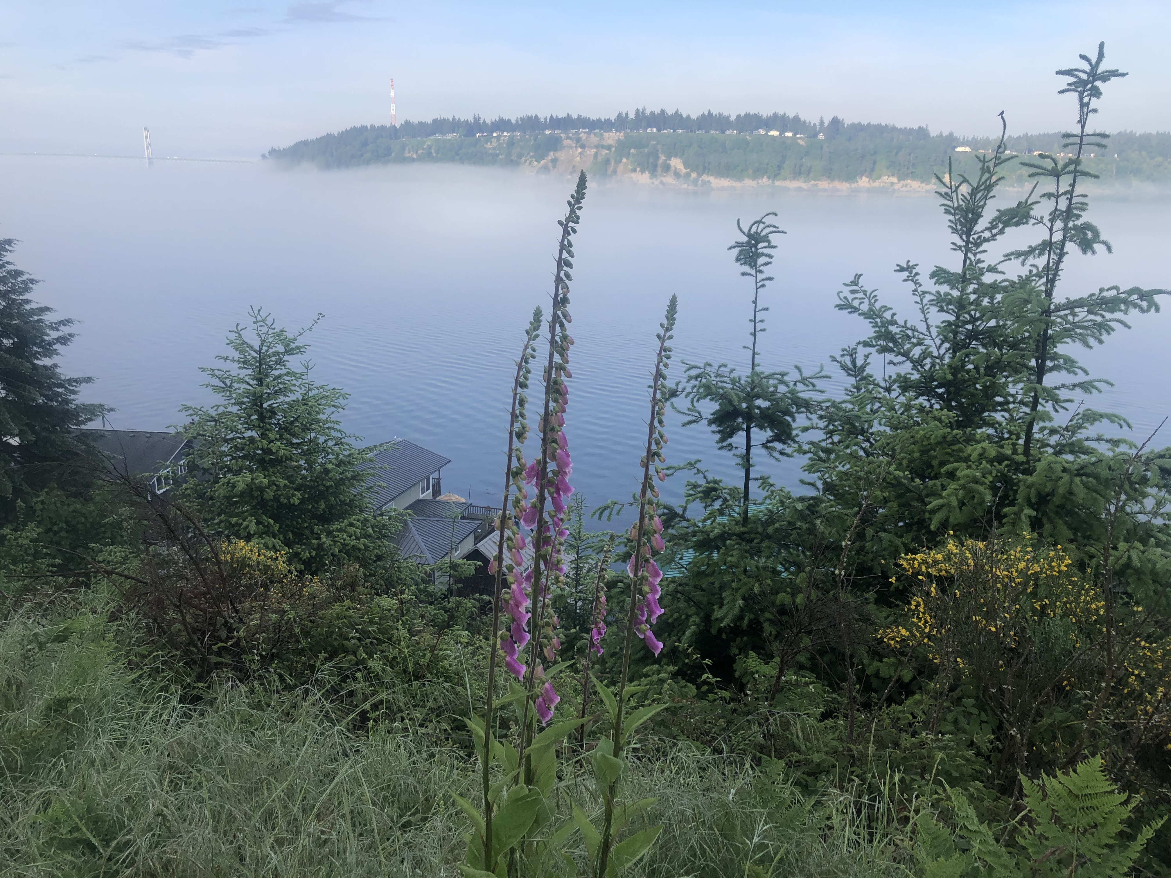 Welcome to my Adventures